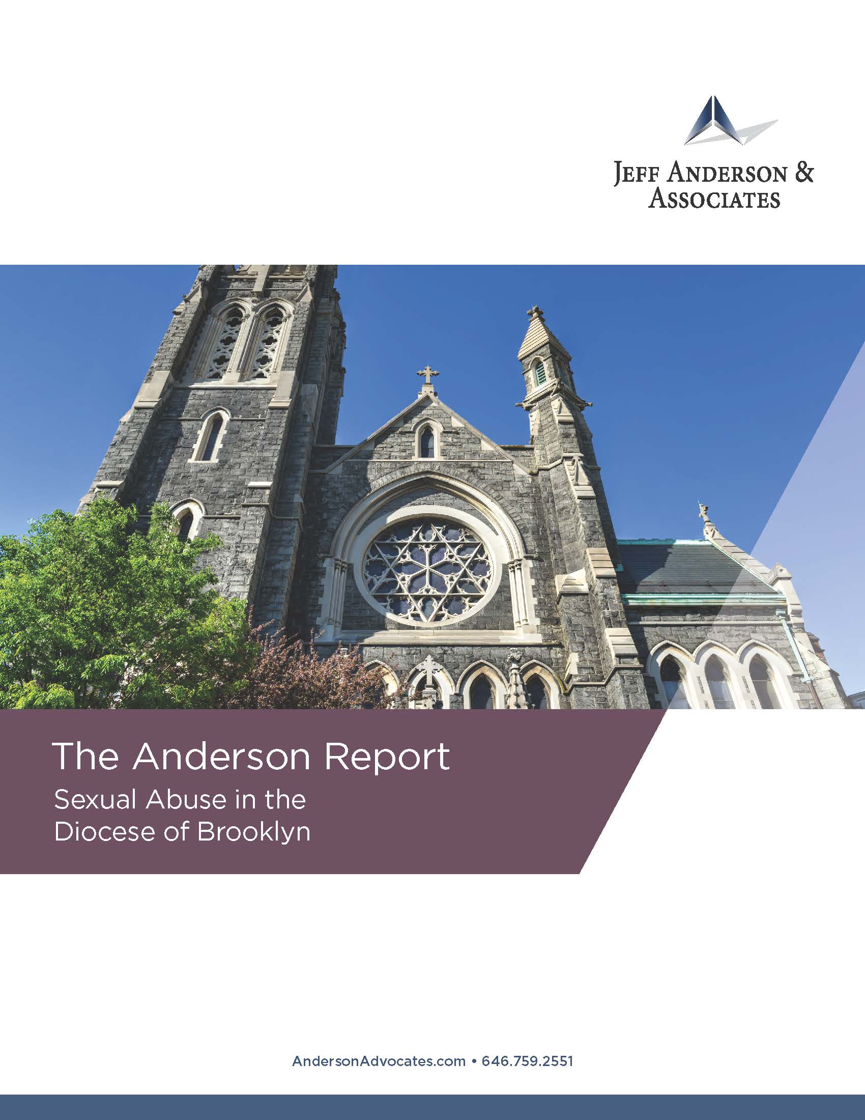 The Anderson Report image